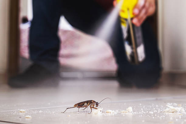 Wildlife Control Services in Westview, FL