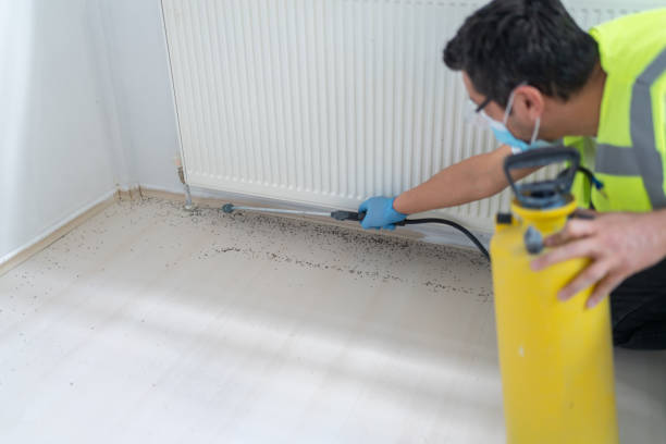Best Residential Pest Control  in Westview, FL