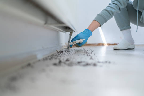 Best Cockroach Control Services  in Westview, FL