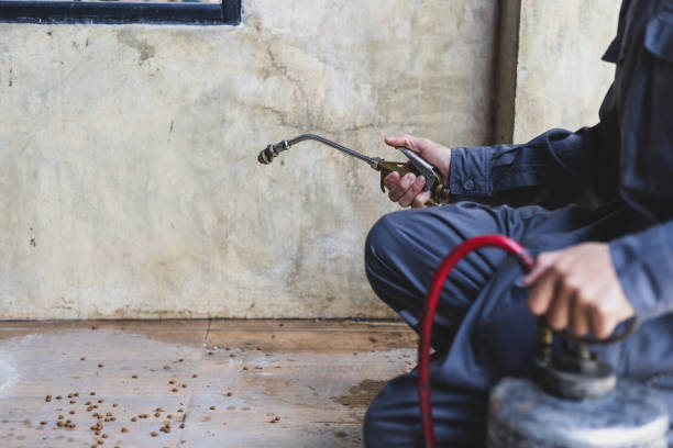Best Affordable Pest Control Services  in Westview, FL